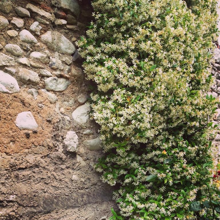 Villa Casa Angela Toscolano-Maderno Zimmer foto